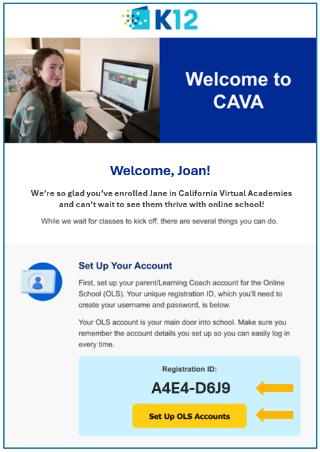 virtual schools
